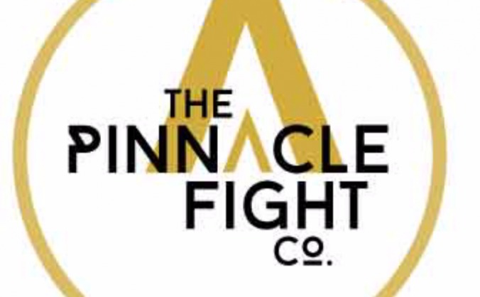 Prototype Manufacture for The Pinnacle Fight Co