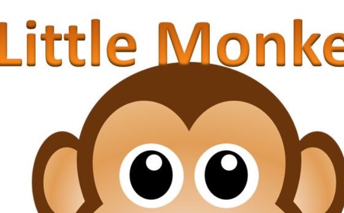 Little Monkey Clothing Project