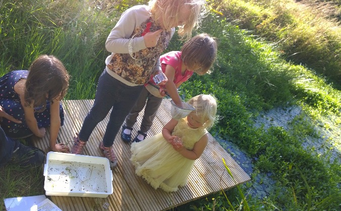 Greenhillock Glamping - Wildlife Lodge