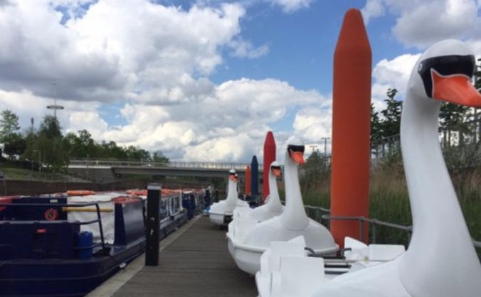 Pancho's pedalos