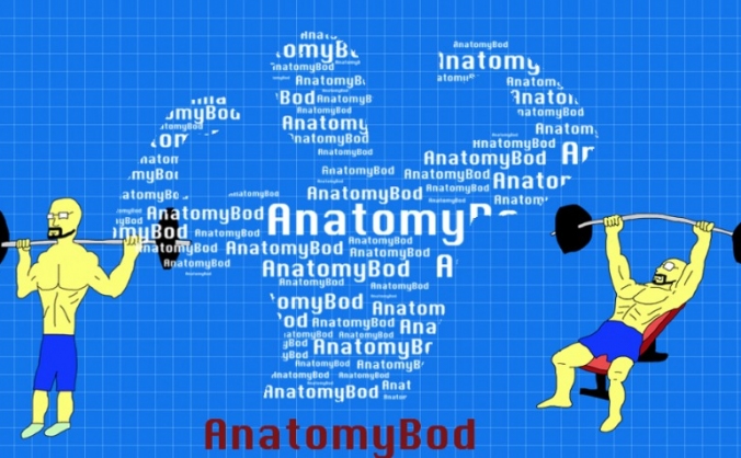 AnatomyBod