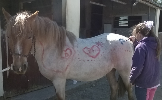 Wisdom Of Equus