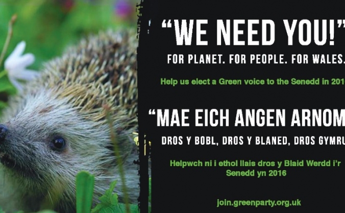 Green Party Assembly Members for Wales