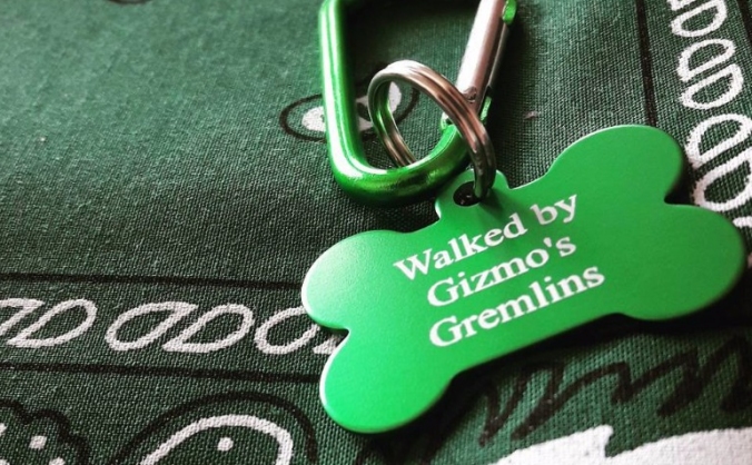 Gizmo's Gremlins - A wooftastic doggy daycare!