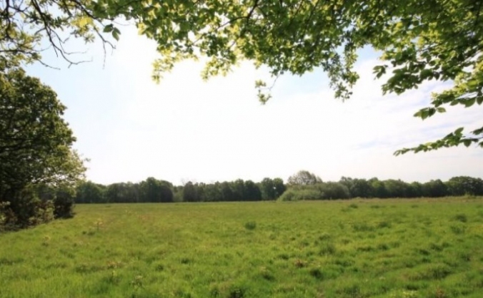 Billericay Community Dog Park