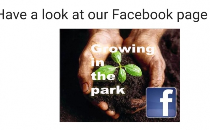 Growing with MIND