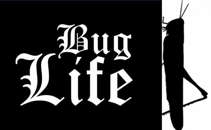 Bug Life August 2017