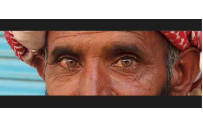 Migration Collective