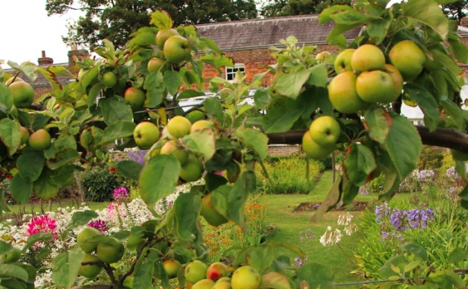 A is for Apple Summative Exhibition