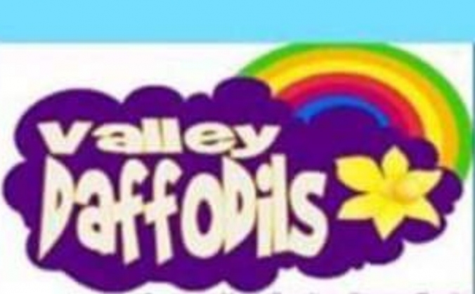 Valleys daffodils sponsered skydive