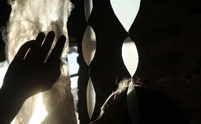SEWN SEEDS: Arts and Permaculture Event