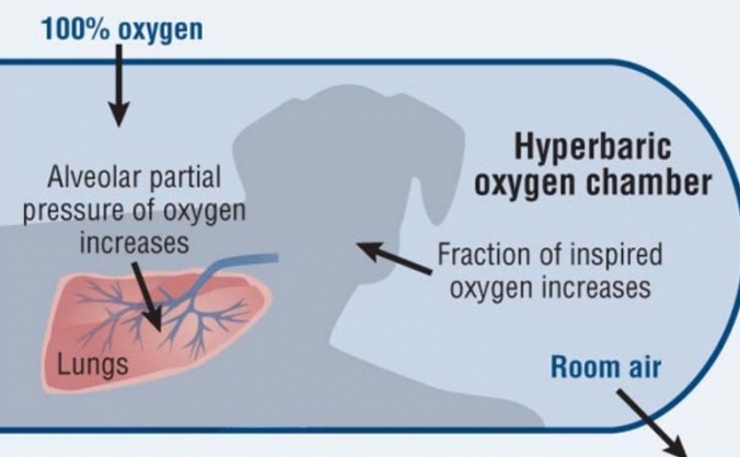 Hyperbaric Oxygen Therapy for Animals