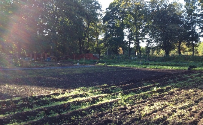 HOPE Organic Garden looks for a Chipper- Shredder!