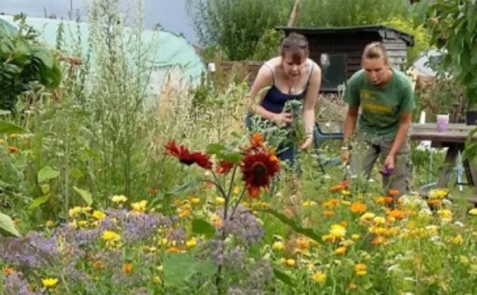 Swaffham Allotment and Orchard Project