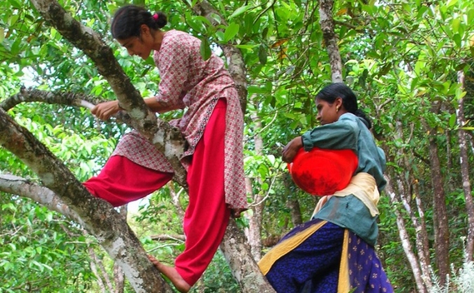 Gardening back the biosphere in the Western Ghats