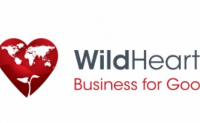 Microtyco for Wildhearts