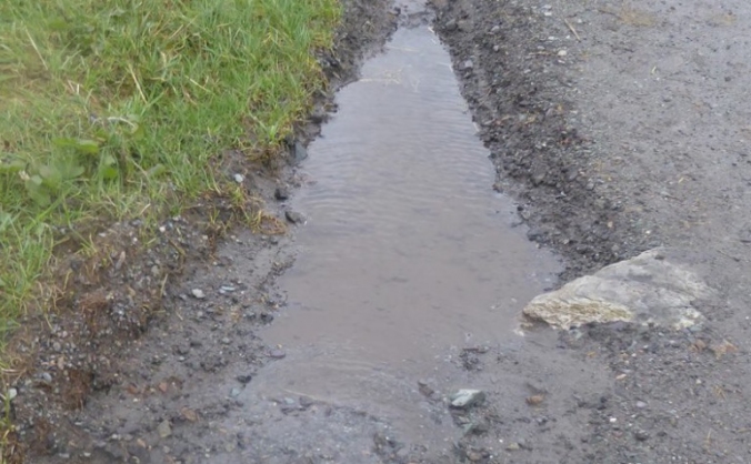 Freshfields Horse Track Resurfacing