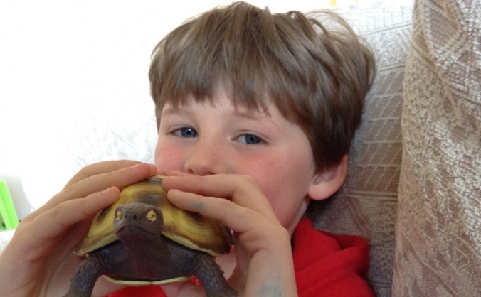 Logan's tortoise fund