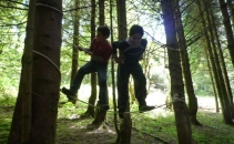 Play Days in the Forest