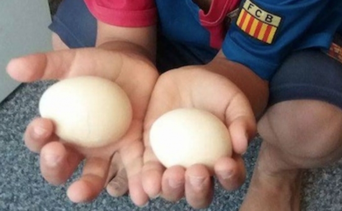 Eggtastic!