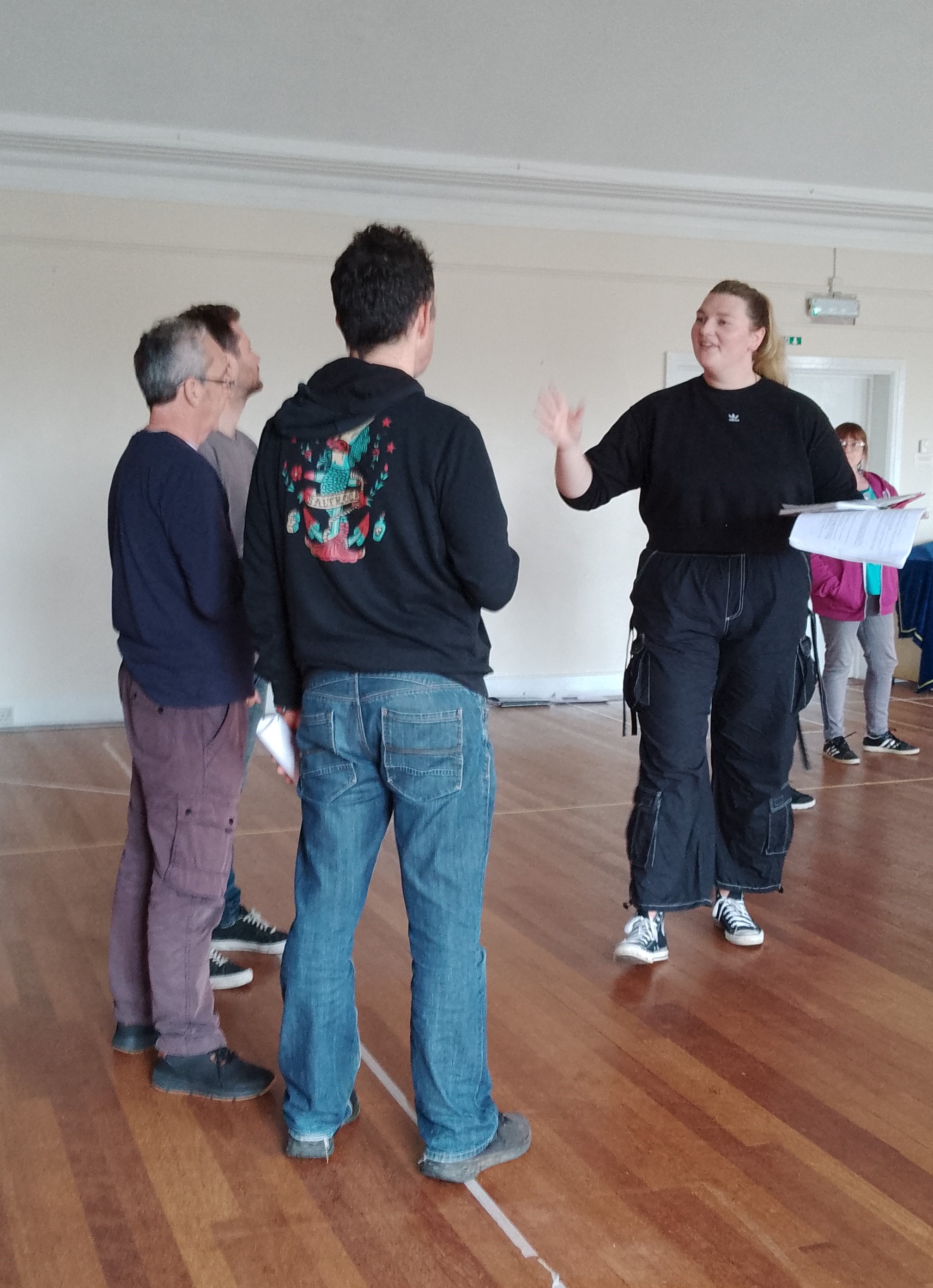 Bal Maiden Musical a Music crowdfunding project in Falmouth by Alison