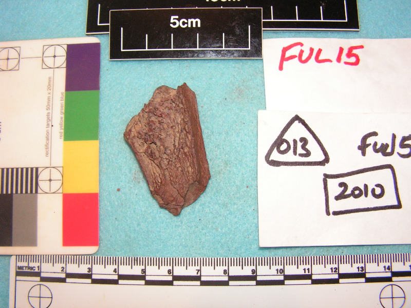 Sample of bone from 1066 layer at Fulford