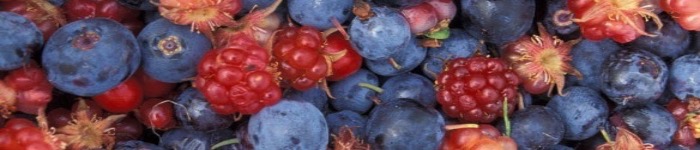 46592-b848d6b01f31b1eecff1ab6a39fba781.j