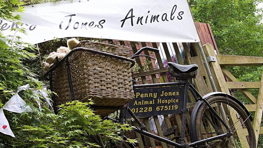 Christmas Food Aid for Penny Jones Animal Hospice