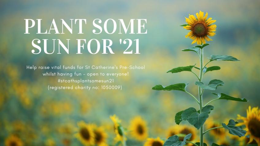 Plant Some Sun for 21