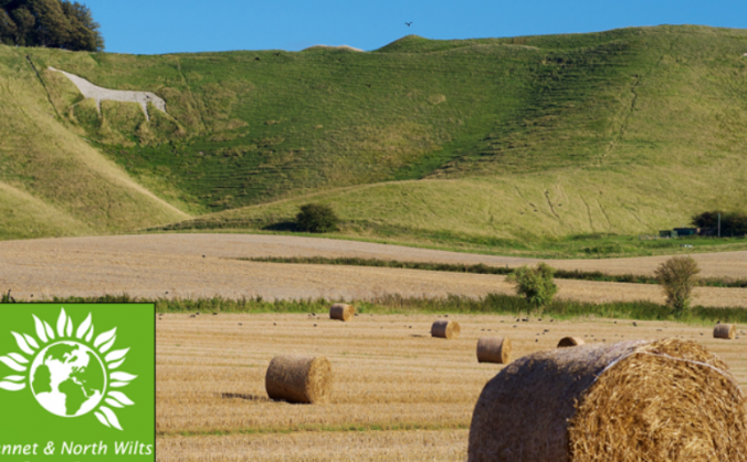 Give Wiltshire voters a Green Party choice in 2015