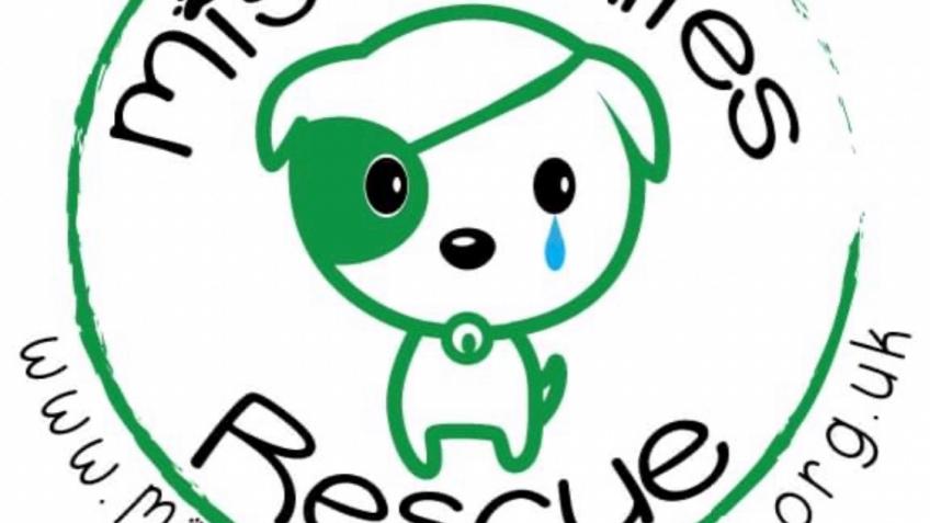 A permanent residence for the dogs!