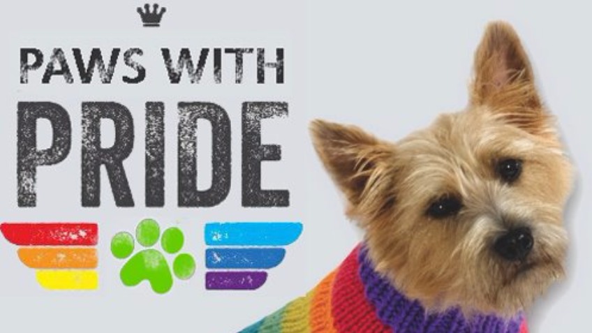 gay kyiv gay pride gifts