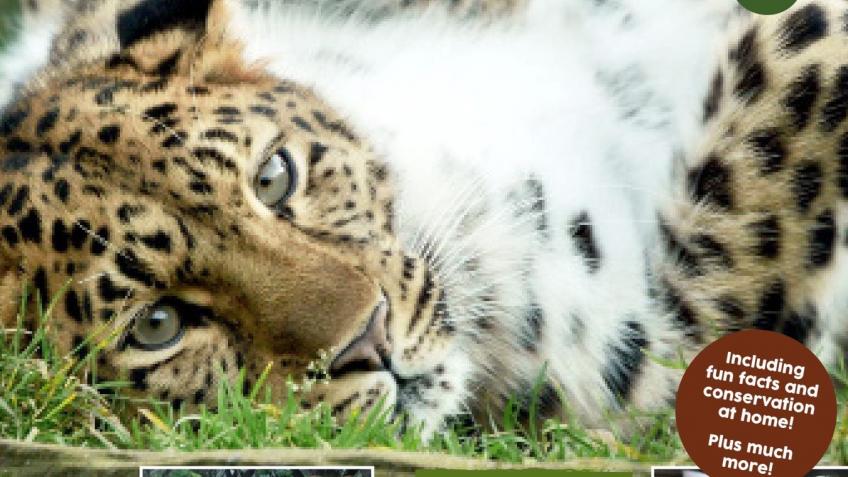 Colchester Zoo desperately needs funds