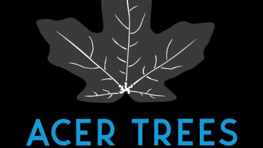 Acer Trees