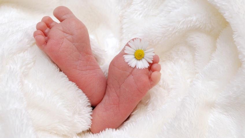 Create a memorial garden for babies born sleeping