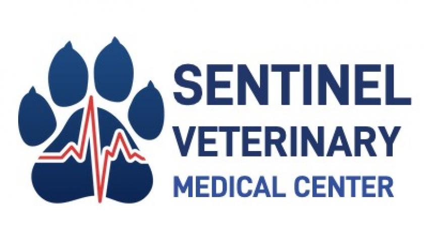 Emergency Vet