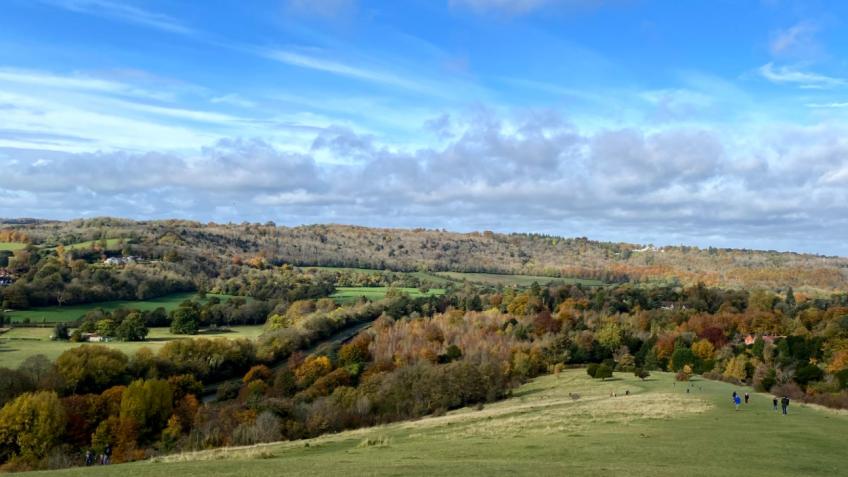 30,000 steps per day for 5 days this half term