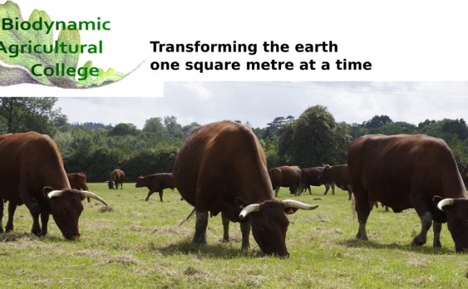 Biodynamic Principles and Practice online course