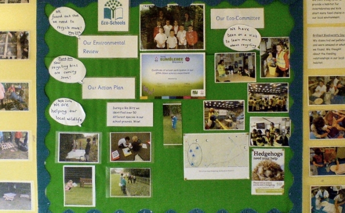 Otley Primary School PV