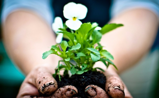 New therapeutic garden for women's refuge