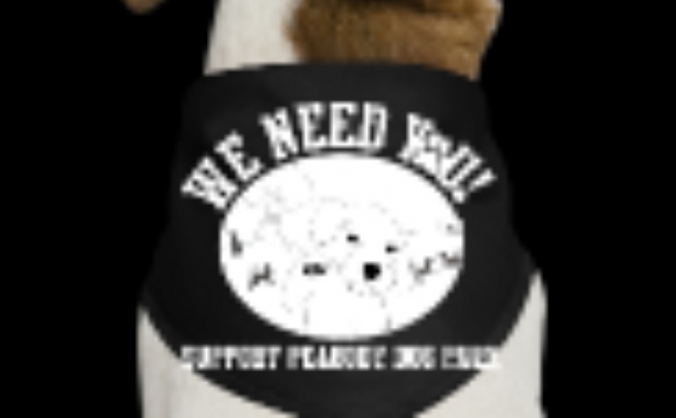Friends of cats and dogs