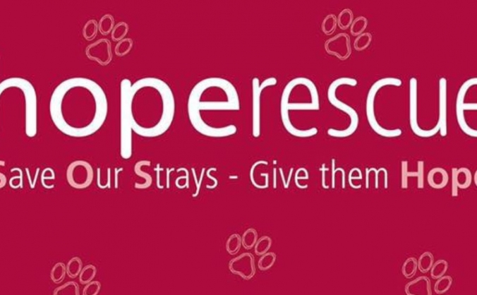 Project New Rescue Centre - Hope Rescue