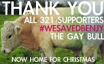 Save Benjy The Gay Bull
