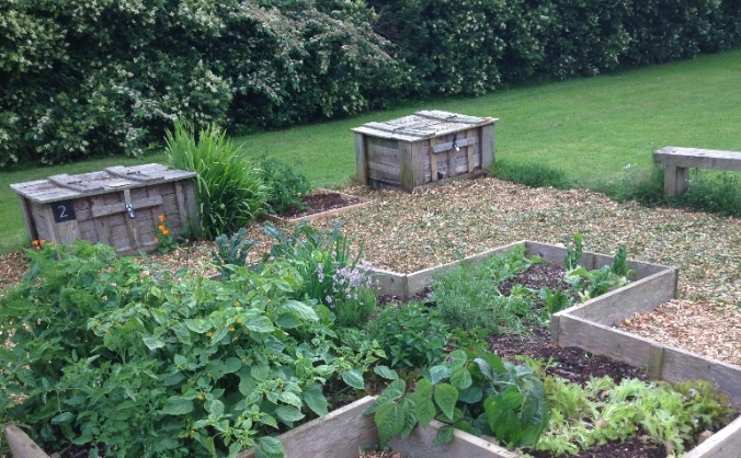 Dyke Road Park Community Orchard