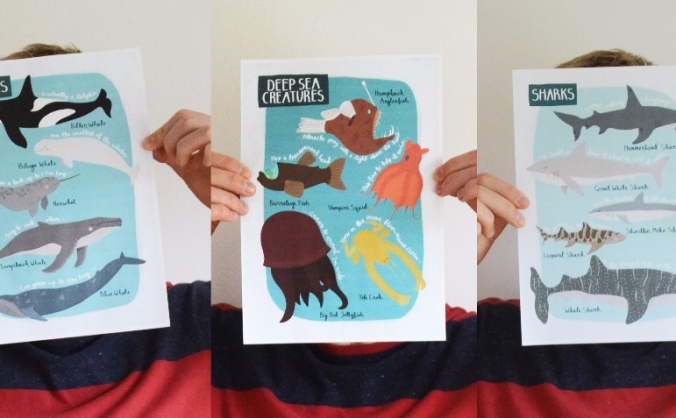 Hannah Stevens Illustration - New Print Launch