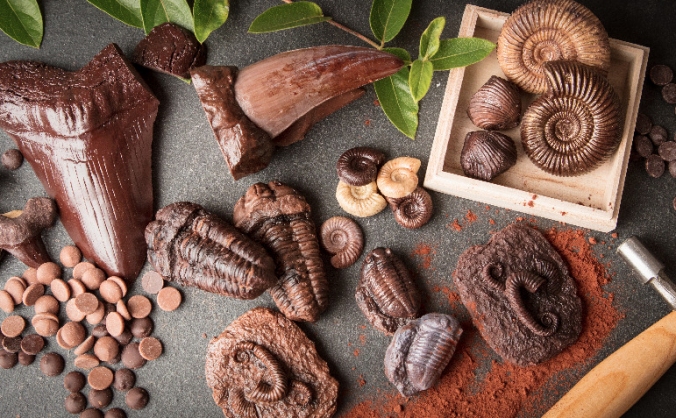 The Edible Museum Chocolate Studio