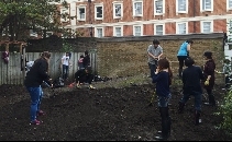 Goldsmiths University Veg Patch for Kids
