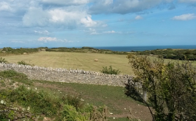 Fight Back Fund For Stop The Swanage Gas Rig Camp
