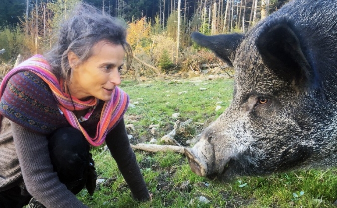 Farms Not Factories - The Pig Revolution!