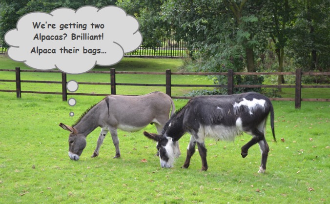 Milefield Community Farm
